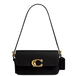 Coach Zoe Shoulder Bag
